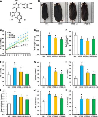 Activation of the AMPK-SIRT1 pathway contributes to protective effects of Salvianolic acid A against lipotoxicity in hepatocytes and NAFLD in mice